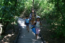 ballade green island
